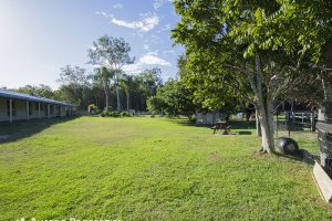 82 Sylvan Road, Park Ridge South, QLD 4125