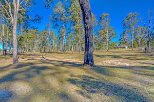 627 Ripley Road, Ripley,