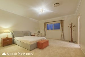20 Birchwood Place, Stretton, QLD 4116