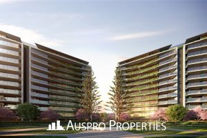 Brooke Avenue , Palm Beach, QLD 4221 Australia