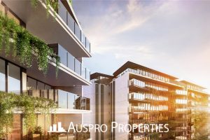 Brooke Avenue , Palm Beach, QLD 4221 Australia