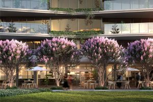 Brooke Avenue , Palm Beach, QLD 4221 Australia