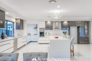 36 Hawthorn Circuit, Stretton, QLD 4116