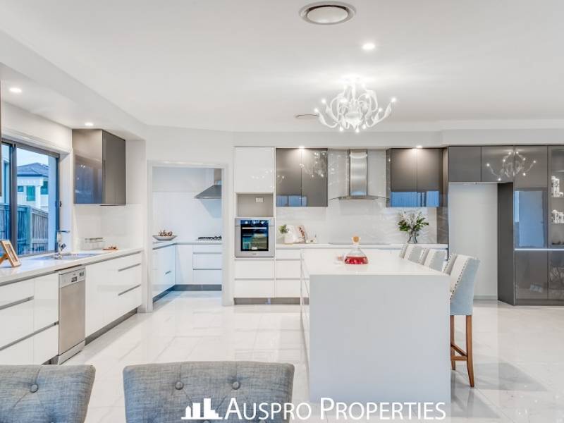36 Hawthorn Circuit, Stretton, QLD 4116