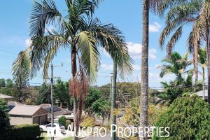 12 Le Grand Street, Macgregor, Queensland 4109 Australia