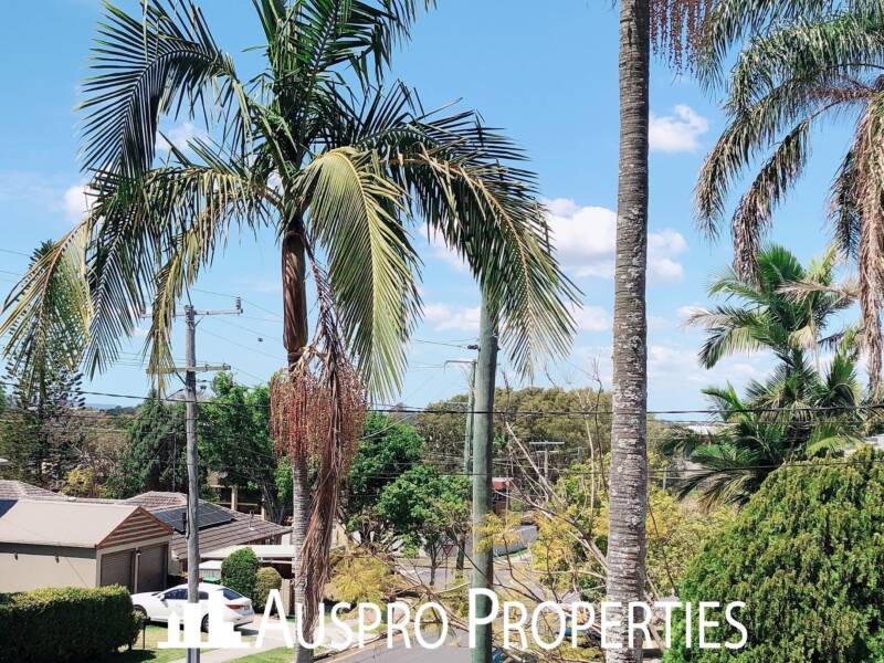 12 Le Grand Street, Macgregor, Queensland 4109 Australia