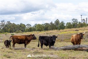 QLD 4131 Australia