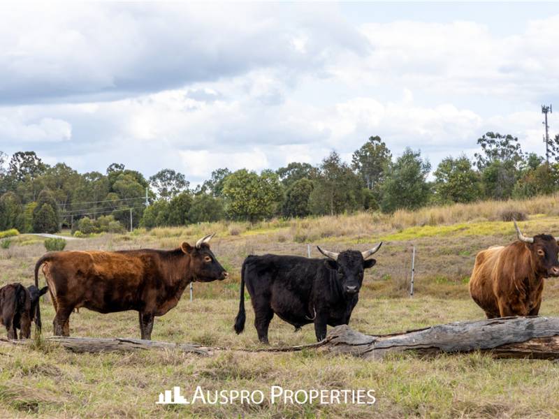 QLD 4131 Australia