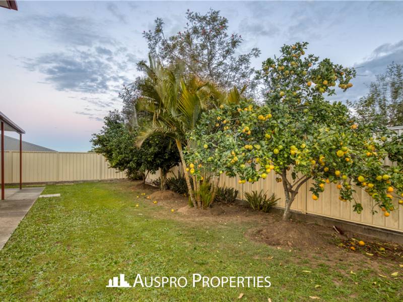 5 Paul Drive, REGENTS PARK, QLD 4118 Australia