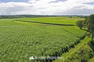 1-31 EAGLEBY ROAD , EAGLEBY, QLD 4207