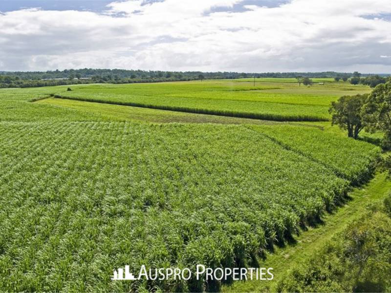 1-31 EAGLEBY ROAD , EAGLEBY, QLD 4207