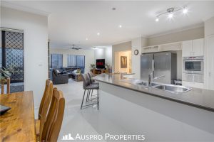 62 Birchwood Pl, Stretton, QLD 4116