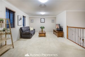 62 Birchwood Pl, Stretton, QLD 4116